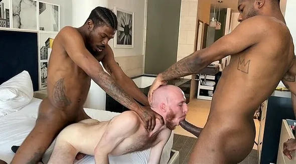 Porked ? xavier milan, jay jay dawabbit nico bellic